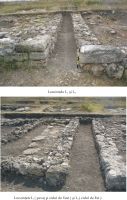 Cronica Cercetărilor Arheologice din România, Campania 2010. Raportul nr. 3