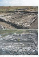 Cronica Cercetărilor Arheologice din România, Campania 2010. Raportul nr. 3