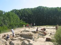 Cronica Cercetărilor Arheologice din România, Campania 2010. Raportul nr. 6