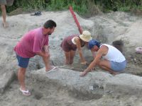 Cronica Cercetărilor Arheologice din România, Campania 2010. Raportul nr. 6