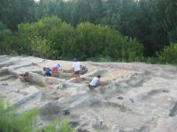 Cronica Cercetărilor Arheologice din România, Campania 2010. Raportul nr. 6