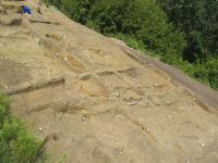 Cronica Cercetărilor Arheologice din România, Campania 2010. Raportul nr. 6