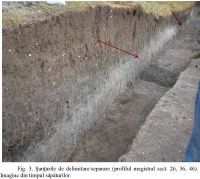 Cronica Cercetărilor Arheologice din România, Campania 2010. Raportul nr. 7