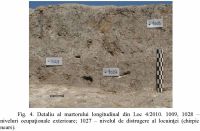 Cronica Cercetărilor Arheologice din România, Campania 2010. Raportul nr. 7