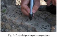 Cronica Cercetărilor Arheologice din România, Campania 2010. Raportul nr. 7