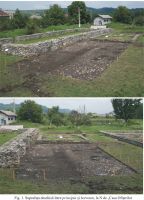 Cronica Cercetărilor Arheologice din România, Campania 2010. Raportul nr. 9