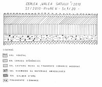Cronica Cercetărilor Arheologice din România, Campania 2010. Raportul nr. 12