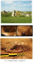 Cronica Cercetărilor Arheologice din România, Campania 2010. Raportul nr. 13