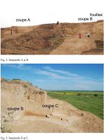 Cronica Cercetărilor Arheologice din România, Campania 2010. Raportul nr. 14