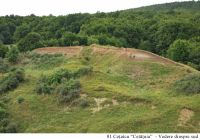 Cronica Cercetărilor Arheologice din România, Campania 2010. Raportul nr. 16