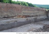 Cronica Cercetărilor Arheologice din România, Campania 2010. Raportul nr. 16