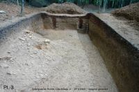 Cronica Cercetărilor Arheologice din România, Campania 2010. Raportul nr. 23