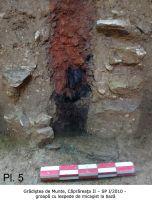 Cronica Cercetărilor Arheologice din România, Campania 2010. Raportul nr. 23
