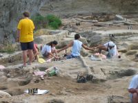 Cronica Cercetărilor Arheologice din România, Campania 2010. Raportul nr. 24