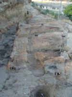 Cronica Cercetărilor Arheologice din România, Campania 2010. Raportul nr. 24