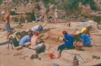 Cronica Cercetărilor Arheologice din România, Campania 2010. Raportul nr. 24