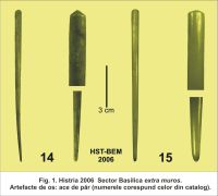 Cronica Cercetărilor Arheologice din România, Campania 2010. Raportul nr. 28.<br /> Sectorul Sector-Basilica-extramuros.
