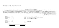 Cronica Cercetărilor Arheologice din România, Campania 2010. Raportul nr. 28.<br /> Sectorul Sector-Sud-12-01-2011-03-05-2011\IRT.