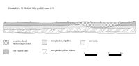 Cronica Cercetărilor Arheologice din România, Campania 2010. Raportul nr. 28.<br /> Sectorul Sector-Sud-12-01-2011-03-05-2011\TKEM.