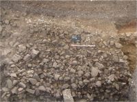 Cronica Cercetărilor Arheologice din România, Campania 2010. Raportul nr. 29