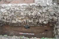 Cronica Cercetărilor Arheologice din România, Campania 2010. Raportul nr. 29