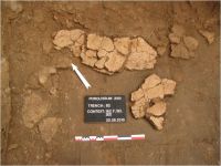 Cronica Cercetărilor Arheologice din România, Campania 2010. Raportul nr. 29