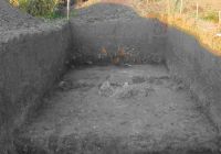 Cronica Cercetărilor Arheologice din România, Campania 2010. Raportul nr. 40