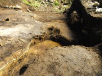 Cronica Cercetărilor Arheologice din România, Campania 2010. Raportul nr. 46