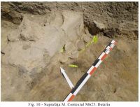 Cronica Cercetărilor Arheologice din România, Campania 2010. Raportul nr. 48