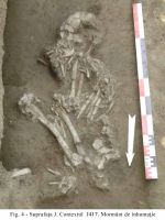 Cronica Cercetărilor Arheologice din România, Campania 2010. Raportul nr. 48
