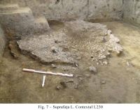 Cronica Cercetărilor Arheologice din România, Campania 2010. Raportul nr. 48