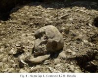 Cronica Cercetărilor Arheologice din România, Campania 2010. Raportul nr. 48