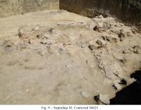 Cronica Cercetărilor Arheologice din România, Campania 2010. Raportul nr. 48