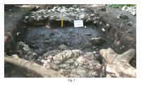 Cronica Cercetărilor Arheologice din România, Campania 2010. Raportul nr. 51