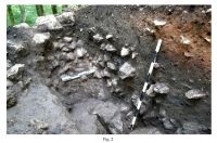 Cronica Cercetărilor Arheologice din România, Campania 2010. Raportul nr. 51