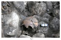 Cronica Cercetărilor Arheologice din România, Campania 2010. Raportul nr. 51
