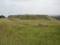 Cronica Cercetărilor Arheologice din România, Campania 2010. Raportul nr. 52