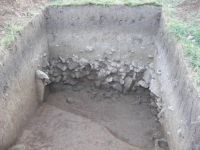 Cronica Cercetărilor Arheologice din România, Campania 2010. Raportul nr. 53