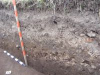 Cronica Cercetărilor Arheologice din România, Campania 2010. Raportul nr. 53