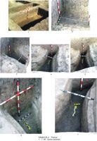 Cronica Cercetărilor Arheologice din România, Campania 2010. Raportul nr. 55