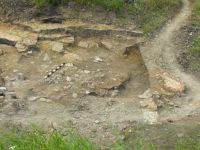 Cronica Cercetărilor Arheologice din România, Campania 2010. Raportul nr. 57