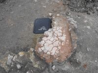 Cronica Cercetărilor Arheologice din România, Campania 2010. Raportul nr. 57