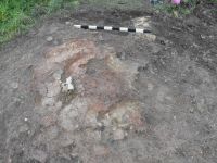 Cronica Cercetărilor Arheologice din România, Campania 2010. Raportul nr. 57