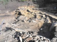 Cronica Cercetărilor Arheologice din România, Campania 2010. Raportul nr. 57