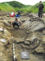 Cronica Cercetărilor Arheologice din România, Campania 2010. Raportul nr. 57