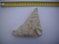 Cronica Cercetărilor Arheologice din România, Campania 2010. Raportul nr. 58