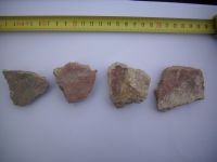 Cronica Cercetărilor Arheologice din România, Campania 2010. Raportul nr. 58