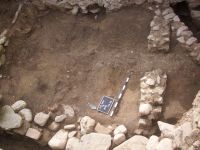 Cronica Cercetărilor Arheologice din România, Campania 2010. Raportul nr. 58