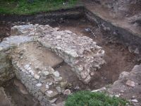 Cronica Cercetărilor Arheologice din România, Campania 2010. Raportul nr. 58