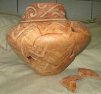 Cronica Cercetărilor Arheologice din România, Campania 2010. Raportul nr. 60